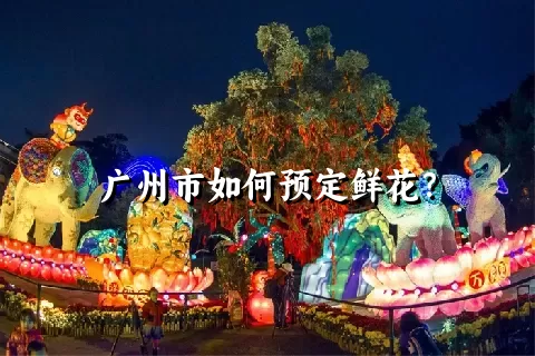 广州市如何预定鲜花？