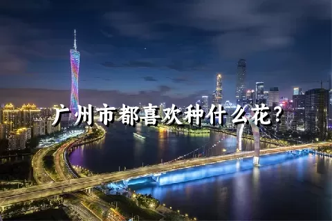 广州市都喜欢种什么花？