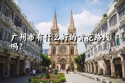 广州市有什么好的赏花路线吗？