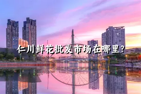 仁川鲜花批发市场在哪里？