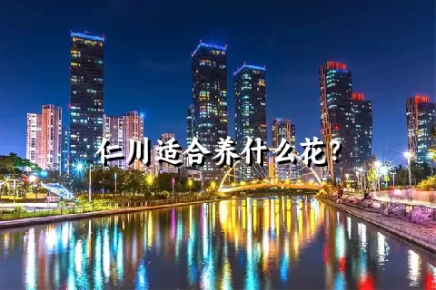 仁川适合养什么花？