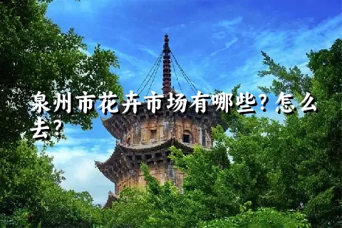 泉州市花卉市场有哪些？怎么去？