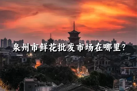 泉州市鲜花批发市场在哪里？