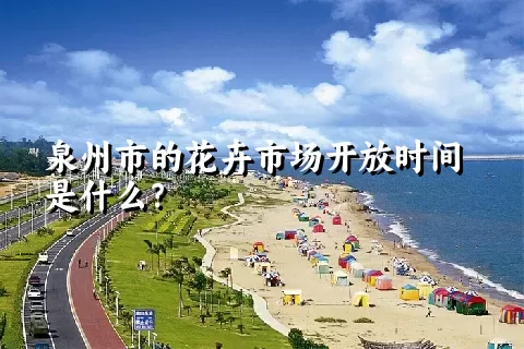 泉州市的花卉市场开放时间是什么？