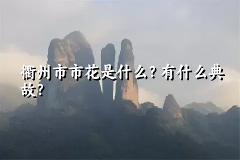 衢州市市花是什么？有什么典故？