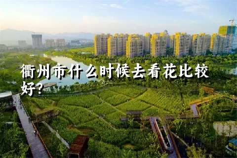 衢州市什么时候去看花比较好？