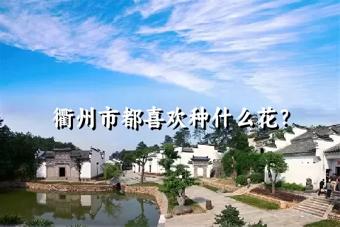 衢州市都喜欢种什么花？