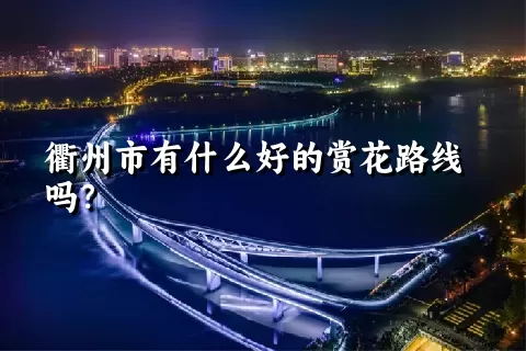 衢州市有什么好的赏花路线吗？