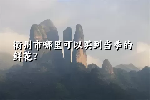 衢州市哪里可以买到当季的鲜花？