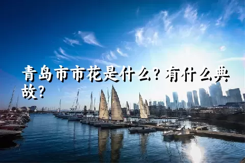 青岛市市花是什么？有什么典故？