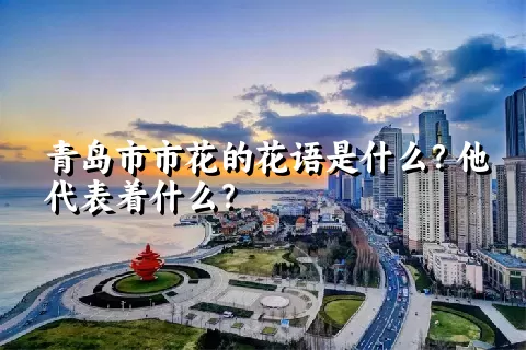 青岛市市花的花语是什么？他代表着什么？