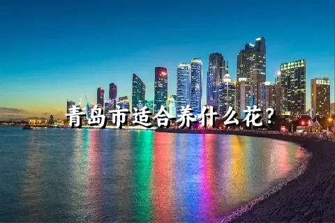 青岛市适合养什么花？