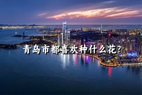 青岛市都喜欢种什么花？