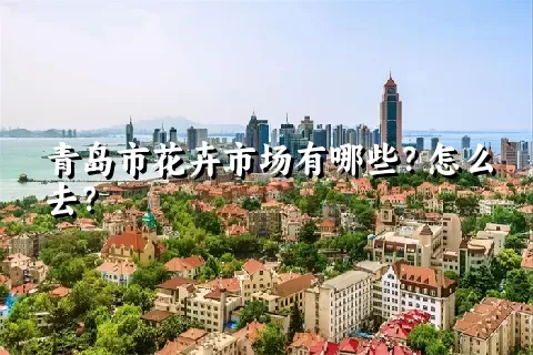 青岛市花卉市场有哪些？怎么去？