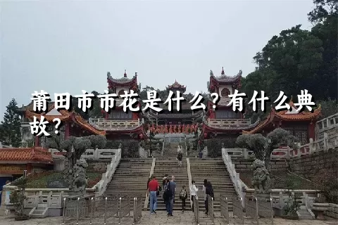 莆田市市花是什么？有什么典故？