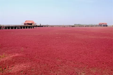 盘锦市