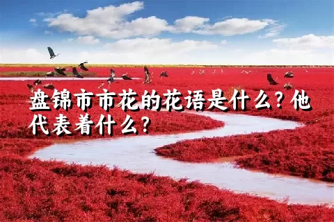 盘锦市市花的花语是什么？他代表着什么？