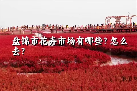 盘锦市花卉市场有哪些？怎么去？