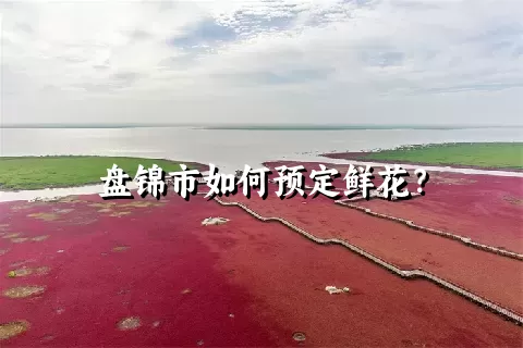 盘锦市如何预定鲜花？