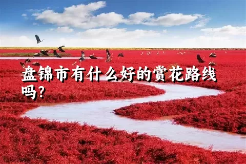 盘锦市有什么好的赏花路线吗？