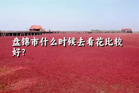 盘锦市什么时候去看花比较好？