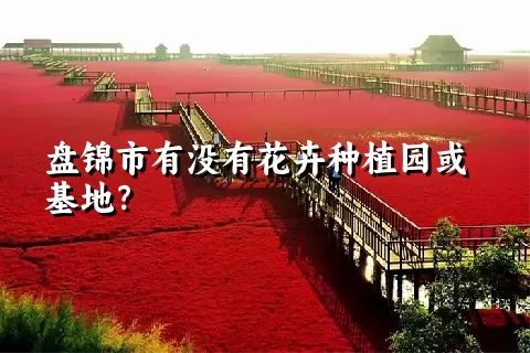 盘锦市有没有花卉种植园或基地？