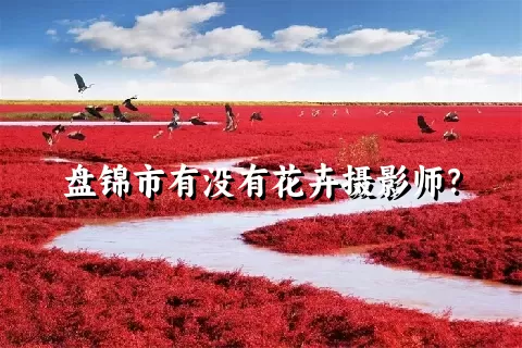 盘锦市有没有花卉摄影师？