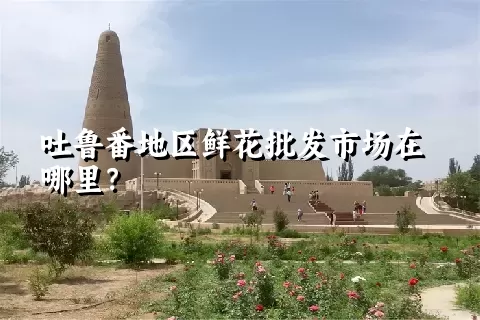 吐鲁番地区鲜花批发市场在哪里？