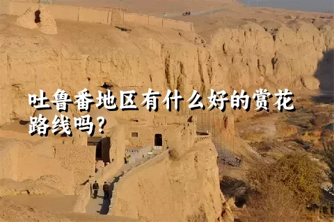 吐鲁番地区有什么好的赏花路线吗？