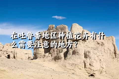 在吐鲁番地区种植花卉有什么需要注意的地方？