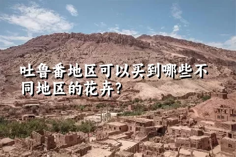 吐鲁番地区可以买到哪些不同地区的花卉？