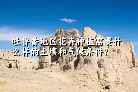 吐鲁番地区花卉种植需要什么样的土壤和气候条件？