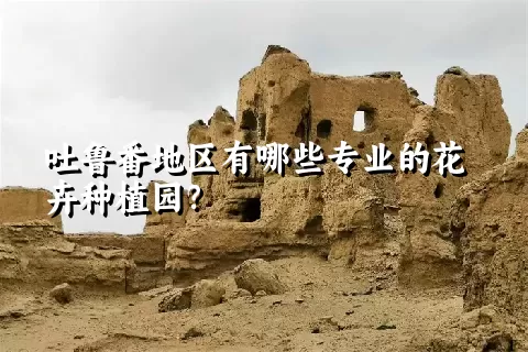 吐鲁番地区有哪些专业的花卉种植园？