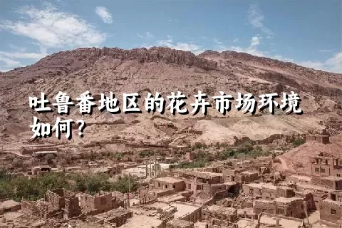 吐鲁番地区的花卉市场环境如何？