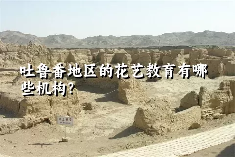 吐鲁番地区的花艺教育有哪些机构？