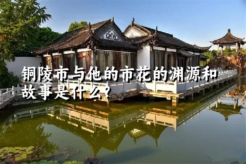 铜陵市与他的市花的渊源和故事是什么？