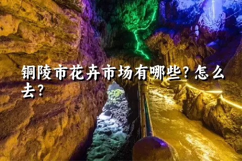 铜陵市花卉市场有哪些？怎么去？