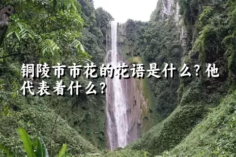 铜陵市市花的花语是什么？他代表着什么？