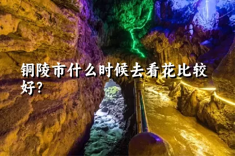 铜陵市什么时候去看花比较好？