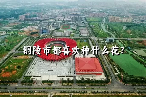 铜陵市都喜欢种什么花？