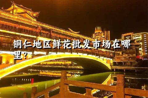 铜仁地区鲜花批发市场在哪里？