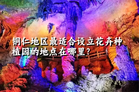 铜仁地区最适合设立花卉种植园的地点在哪里？