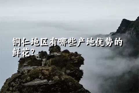 铜仁地区有哪些产地优势的鲜花？