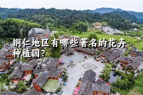 铜仁地区有哪些著名的花卉种植园？