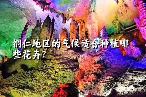 铜仁地区的气候适合种植哪些花卉？