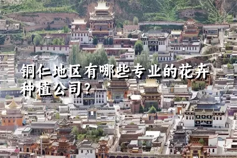 铜仁地区有哪些专业的花卉种植公司？