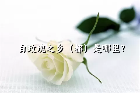 白玫瑰之乡（都）是哪里？