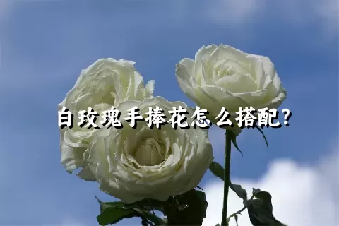 白玫瑰手捧花怎么搭配？