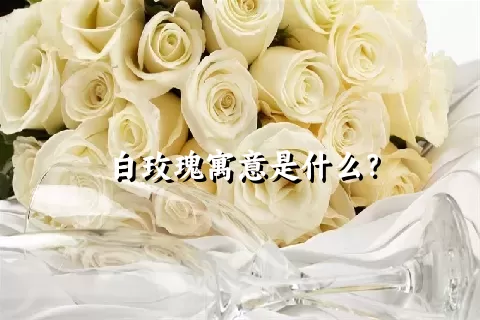 白玫瑰寓意是什么？