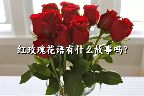 红玫瑰花语有什么故事吗？